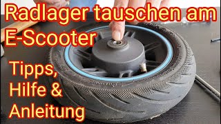 Radlager tauschen am EScooter  Ninebot Max G30D 2 Xiaomi Streetbooster Trittbrett VMax [upl. by Cletis]