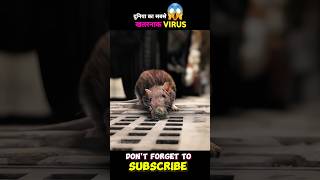 How this Mouse spread the virus throughout the city 😱😱 shorts [upl. by Neladgam]