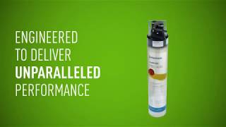 Everpure Water Filters  Best in the Business [upl. by Ycniuq]