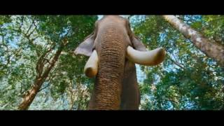 Gajakesari Kannada Movie Scene  Elephant Chase Comedy Scene  Sadhu Kokila Rangayana Raghu [upl. by Tad802]