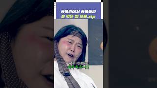 동물원에서 동물들과 술 먹은 썰 모음zip  개그콘서트 Gagconcert  KBS 241027 방송 [upl. by Eiznil284]