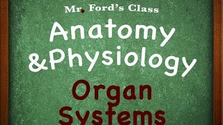 Introduction To Anatomy Physiology Organ Systems 0104 [upl. by Fionnula397]