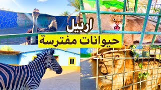 اكبر حديقة حيوانات في كردستان 🦒🦧🦣حيوانات لم اراهم الا في اربيل [upl. by Yseult]