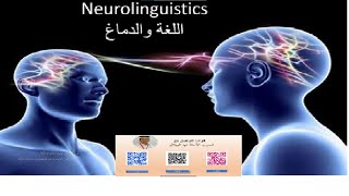 Neurolinguistics اللغة والدماغ [upl. by Sirtimed]