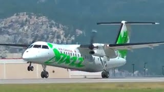 Smooth De Havilland Canada DHC8300 Dash 8 Landing [upl. by Einnek]