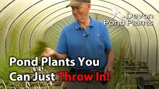 Pond Plants You Can Just Throw Into Your Pond [upl. by Selyn]