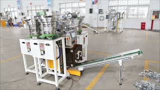 Automatic Screw Packaging Machine  Screw Counting Packing Machine  Screw Bagging Machine [upl. by Ahtilat]