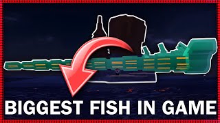 Biggest Fish Trolling In Roblox Fisch [upl. by Yenor542]