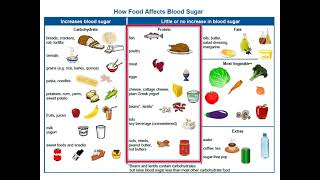 Adult Type 2 Diabetes  4 Nutrition Basics [upl. by Neraa]