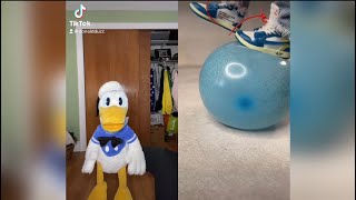 Donald Ducc Reacts To Very Satisfying Tiktok Videos TRY NOT TO LAUGH CHALLENGE DonaldDucc [upl. by Derwon]