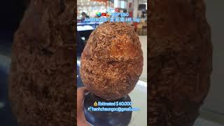 🌏🇻🇳☄HGP 1360 AMBERGRIS  龙 涎 香 HR 1 kg 💰Estimated  60000 📬hanhchaungocgmailcom [upl. by Anselmi]