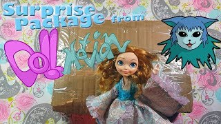 Unboxing  Surprise Package from Doll Motion [upl. by Giustino161]