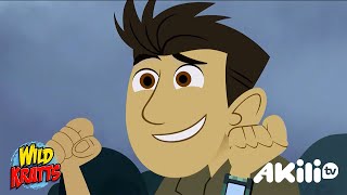 Wild Kratts  Ouch Not On My Head😓  Akili Tv [upl. by Franz]