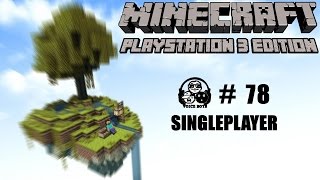 MINECRAFT PS3 EDITION 78 ▶ Fackellauf Deutsch HD [upl. by Easlehc]