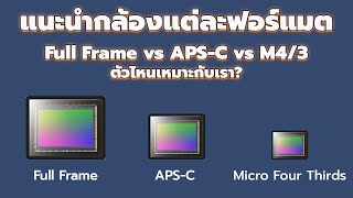 แนะนำกล้องแต่ละฟอร์แมต Full Frame vs APSC vs M43 ตัวไหนเหมาะกับเรา [upl. by Harret]