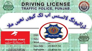 Delivery  driving license punjab  driving license  drivers licence  licence  ServicesGuide92 [upl. by Jessa]