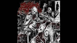 Mephitic Entrails  Demo 2021 Full Album [upl. by Gaige]