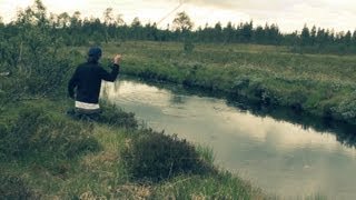 Trout fly fishing in Sweden [upl. by Iverson]