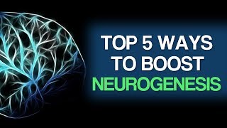 Top 5 Ways To Boost Neurogenesis [upl. by Akaya]