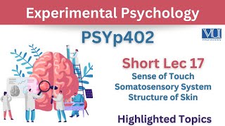 PSYp402 Short Lecture 17Sense of TouchSomatosensory systemSkinPsy402 Lec 17Final Term [upl. by Naic]