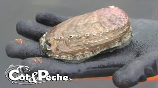 La pêche aux Ormeaux [upl. by Miche]