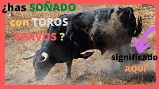 🐮🐮 que SIGNIFICA SOÑAR con TOROS BRAVOS que te PERSIGUEN 😱🐃 [upl. by Nagap]