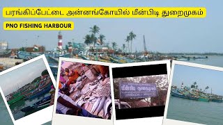 பரங்கிப்பேட்டை மீன்பிடி துறைமுகம்  Fishing Harbour I Portonovo I Tamil parangipettai [upl. by Houlberg]