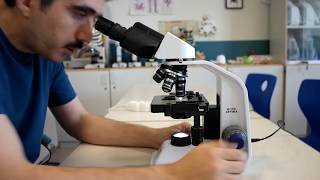 How to use a light microscope Basic Guidelines [upl. by Sunderland90]