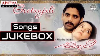 Geetanjali గీతాంజలి  Telugu Movie  Full Songs Jukebox  Nagarjuna Girija [upl. by Yeneffit775]