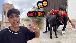 ⁠MahadPetsVlogs Ko Blacky Gift 🎁 kardain ￼ [upl. by Aer]