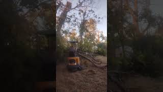 Pulling large branch off fence mini excavator [upl. by Jevon]