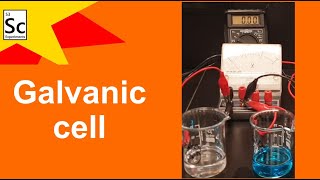 Galvanic cell  CHEMISTRY EXPERIMENTS [upl. by Ahsirtak]