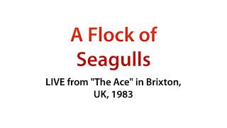 A Flock of Seagulls  Live from quotThe Acequot in Brixton UK 1983 Full Concert [upl. by Gloriane]