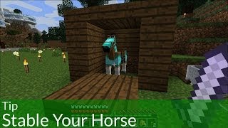 Tip Stable Your Horse Without a Lead [upl. by Enylekcaj]