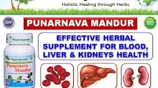 Punarnava Mandur Tablets Benefits Ingredients Dosage amp Side Effects [upl. by Petronia575]