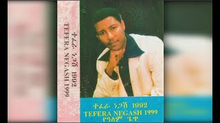 Tefera Negash  Endageru Lyish እንዳገሩ ልይሽ 1992 EC [upl. by Rocco]