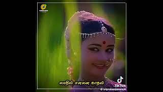 💚💚💚💚Salangai ittal oru maathu spbhits t rajender love song 💚💚💚💚 [upl. by Power480]