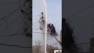 Birds Nest Destroyed By Fire Fighters TrendingShorts TrendingVideos ViralVideos [upl. by Ekihc912]