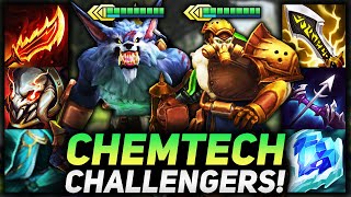 3 STAR TRYNDAMERE AND WARWICK CHEMTECH CHALLENGER DUO  Teamfight Tactics Patch 125B [upl. by Yoshiko528]