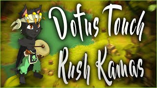 DOFUS TOUCH  Comment jai rush 100 Millions de zéro en 1 semaine Terra Cogita [upl. by Keg23]