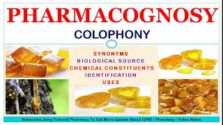 COLOPHONY  PHARMACOGNOSY OF COLOPHONY  ROSINCOLOPHONIUMROSINA [upl. by Rodrique]