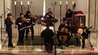 A Vivaldi  Concerto for flautino RV 443  Teun Wisse Ensemble Locatelli VIDEO HD [upl. by Eibrab933]