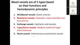 Circulatory system Types of blood vessels based on Hemodynamic principles Windkessel effect [upl. by Nilyak574]