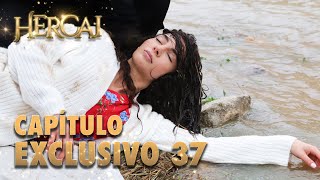 Hercai  Capítulo Exclusivo 37 [upl. by Akinor]