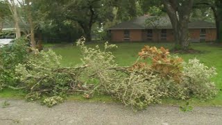 Francine Aftermath Thibodaux Damage Update in Lafourche Parish [upl. by Asirrak]