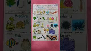 vertebrates and invertebrates animals shorts viral animals science [upl. by Neau]