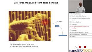 Introduction to Mechanics in Mechanobiology Part I Taher Saif [upl. by Dorn]