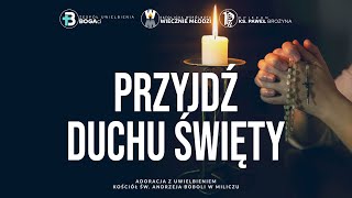 Przyjdź Duchu Święty  Uwielbienie [upl. by Cirtemed]