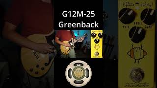 Celestion Speaker Comparison  G12M25 Greenback vs G12 Vintage 30 vs G12H75 Creamback [upl. by Anawahs]