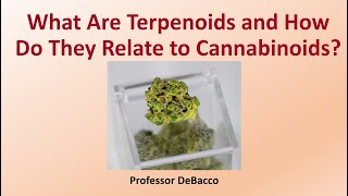 What Are Terpenoids and How Do They Relate to Cannabinoids [upl. by Leela]